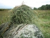 kiiver_surmaoma_v