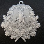 MDSA medal
